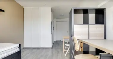 Studio 1 chambre dans France métropolitaine, France