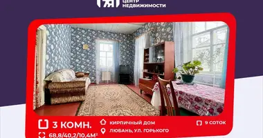 Casa en Lyuban, Bielorrusia