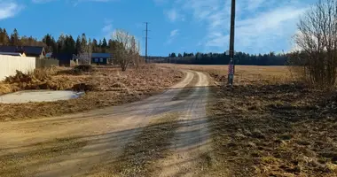 Działka w Gatchinsky District, Rosja