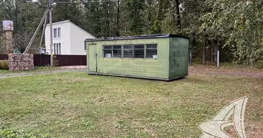 House in Matykalski sielski Saviet, Belarus