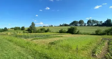 Maison dans Jzufouski siel ski Saviet, Biélorussie