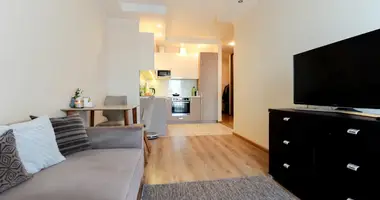 1 bedroom apartment in Riga, Latvia