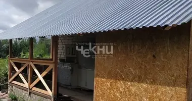 House in Bor, Russia