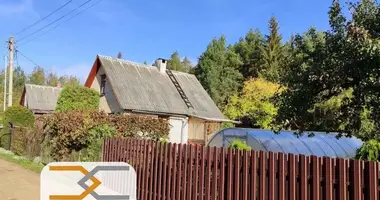 House in Piarezyrski sielski Saviet, Belarus