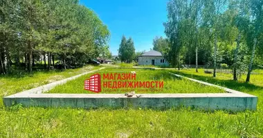 Dom w Adelski sielski Saviet, Białoruś
