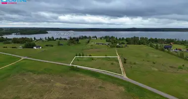 Działka w Bikuskis, Litwa