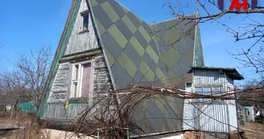 House in Putcynski sielski Saviet, Belarus