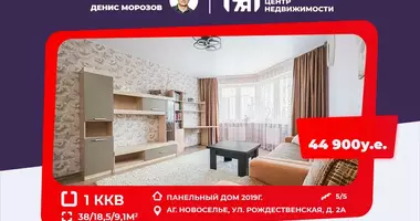 Wohnung 1 Zimmer in Navasiellie, Weißrussland