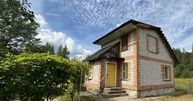 House in Bluzski sielski Saviet, Belarus