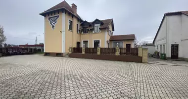 Gewerbefläche 378 m² in Sobols, Ungarn