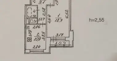 1 room apartment in Saint Petersburg, Russia