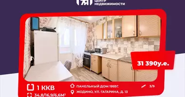 Mieszkanie 1 pokój w Żodzino, Białoruś