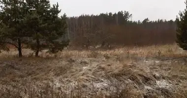 Plot of land in Navapolatsk, Belarus
