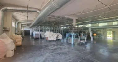 Boutique 600 m² dans Lodz, Pologne