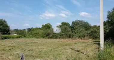 Terrain dans Kaliningrad, Russie