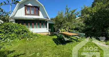 House in Maisiejeuscynski sielski Saviet, Belarus