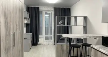 Apartment with Furnitured, with Internet, with Fridge in okrug Svetlanovskoe, Russia