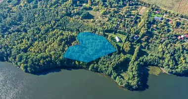 Plot of land in Nienawiszcz, Poland