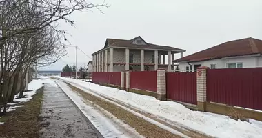 Dom wolnostojący w Babinicki sielski Saviet, Białoruś