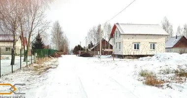 Ferienhaus in Dziamidavicki siel ski Saviet, Weißrussland