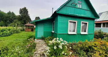 House in Zdanovicki sielski Saviet, Belarus