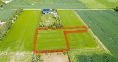 Plot of land in Radzyny, Poland