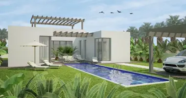 Villa 3 bedrooms with Terrace, with Sauna in Benijofar, Spain