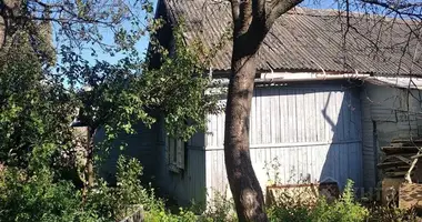 House in Homel, Belarus