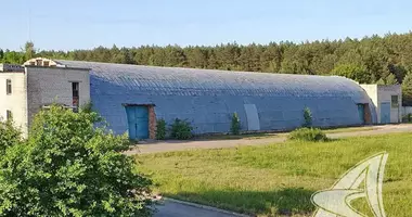 Manufacture 3 597 m² in Ruzanski sielski Saviet, Belarus