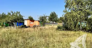 Plot of land in Zabinkauski sielski Saviet, Belarus