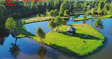 Dom w Naracki siel ski Saviet, Białoruś