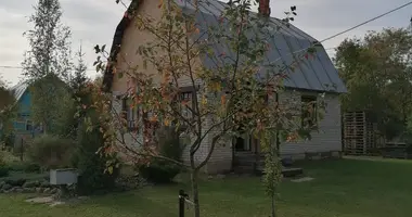 House in Gatchinsky District, Russia