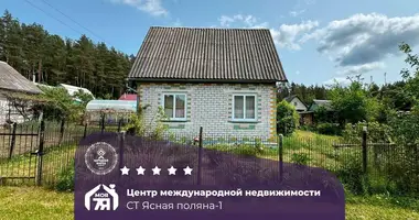 House in Krasnaje, Belarus