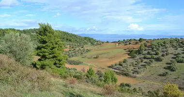 Terrain dans Paliouri, Grèce