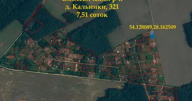 Plot of land in Zodzinski sielski Saviet, Belarus