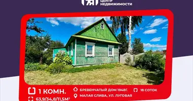 Maison dans Kazlovicki siel ski Saviet, Biélorussie