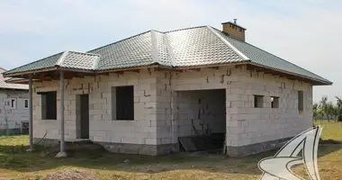 House in Rakitnica, Belarus