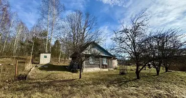 Дом в Заболотский сельский Совет, Беларусь