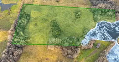 Terrain dans Maneiciai, Lituanie