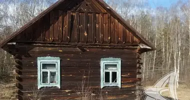 House in Vosa, Belarus