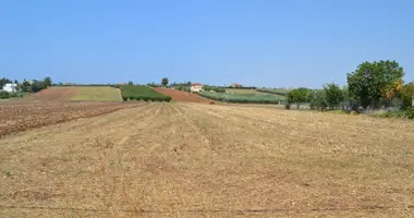 Parcela en Agios Mamas, Grecia