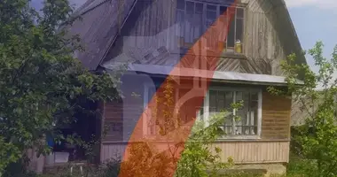 House in Barauski sielski Saviet, Belarus