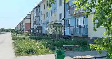 Apartment in Gorodets, Russia