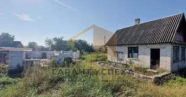 Maison dans Kamianica Zyravieckaja, Biélorussie