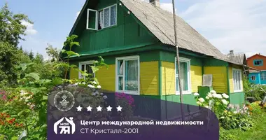 House in Miasocki sielski Saviet, Belarus