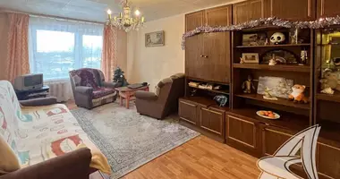 2 room apartment in Staroje Sialo, Belarus