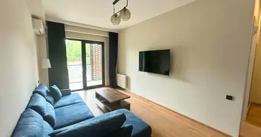 1 bedroom apartment in Tbilisi, Georgia