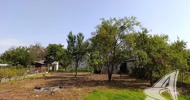 Terrain dans Muchaviecki sielski Saviet, Bélarus