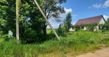 Dom w Babaunianski sielski Saviet, Białoruś