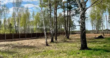 Grundstück in Svislacki sielski Saviet, Weißrussland